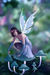 Periwinkle - fairies icon