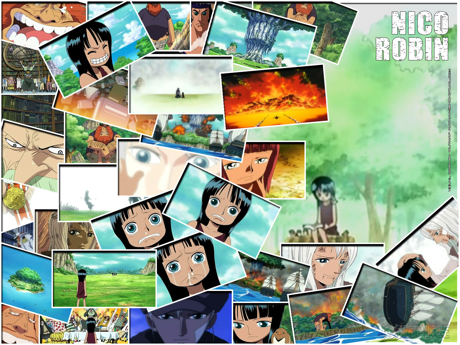One Piece: Robin - Picture