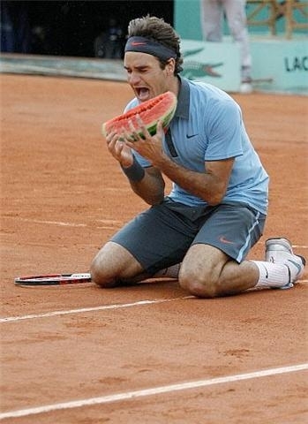  Roger Federer Parody Обои
