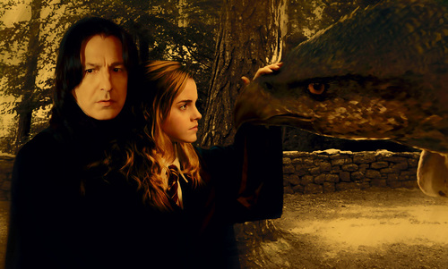 Severus & Hermione