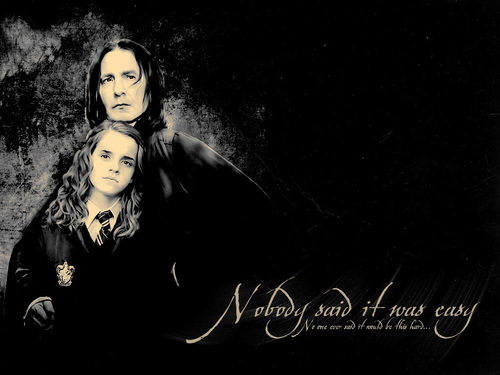  Severus Snape & Hermione Granger