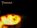 horror-movies - Tamara wallpaper