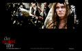 horror-movies - The Last House on the Left (2009) wallpaper