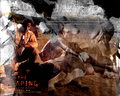 The Reaping - horror-movies wallpaper