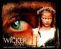 horror-movies - The Wicker Man (2006) wallpaper