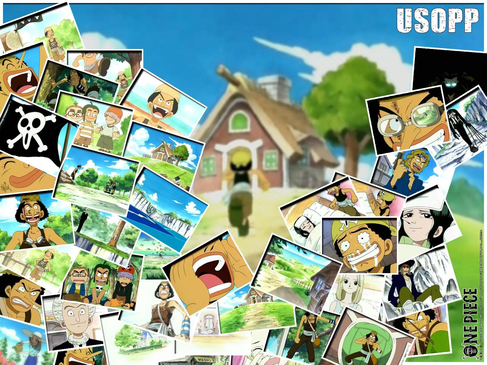 One Piece: Usopp - Images