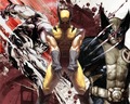 x-men - Wolverine wallpaper