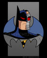 basement cards - batman-the-animated-series photo