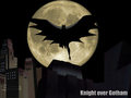 cape - batman-the-animated-series photo