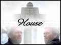house-md - house  wallpaper