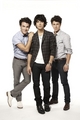 time out new york pics - the-jonas-brothers photo