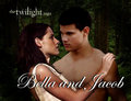 Bella & Jacob - twilight-series fan art