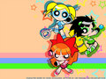 Blossom, Bubbles and Buttercup - powerpuff-girls photo