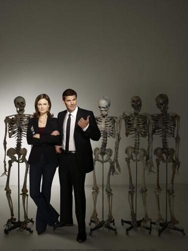 bones Cast&Characters