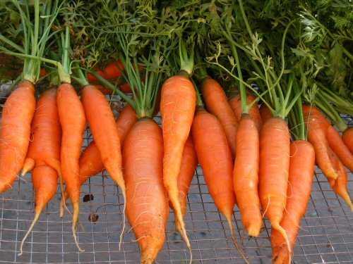  Celebrating Good Health Week: Berni'sPersonal Favourite: Carrots!