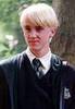  Draco!!!!