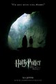 Harry Potter Posters - harry-potter photo
