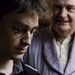 Harry Potter and The Half-Blood Prince Icons - harry-potter icon