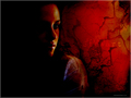 Kristen Stewart Wallpaper - twilight-series wallpaper