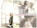 house-md - Mayfield_promo6 wallpaper