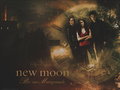 twilight-series - New Moon- Love Triangle wallpaper