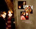 Ron and Hermione - harry-potter photo