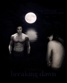 Twilight Saga Posters - twilight-series fan art