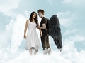 edward and bella wings.  - twilight-series fan art