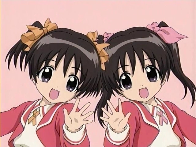 http://images2.fanpop.com/images/photos/7100000/twins-futakoi-7107749-640-480.jpg