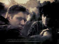 supernatural - ~Sam and Dean~ wallpaper