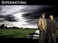 supernatural - ~Supernatural~ wallpaper