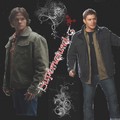 ~Winchesters~ - supernatural fan art