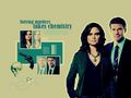 booth-and-bones - Booth And Bones <3 wallpaper