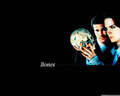 booth-and-bones - Booth And Bones <3 wallpaper