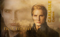 twilight-series - Carlisle Cullen Wallpaper wallpaper