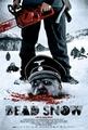 Dead Snow - horror-movies photo