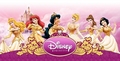 Disney Princesses - disney-princess photo