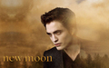 twilight-series - Edward Cullen Wallpaper wallpaper