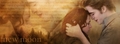 Edward and Bella New Moon Banner - twilight-series fan art