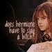 H.Granger - PS - hermione-granger icon