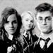 Harry Potter - movies icon