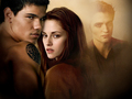 twilight-series - Jacob, Bella and the memory of Edward wallpaper