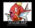 Magikarp - random photo