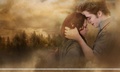 More Website Official Pics - twilight-series photo