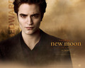 twilight-series - New Moon Edward Cullen wallpaper