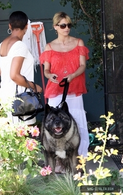 SMG takes Tyson to the veterinarian's office in Toluca Lake, California - July 22, 2009
