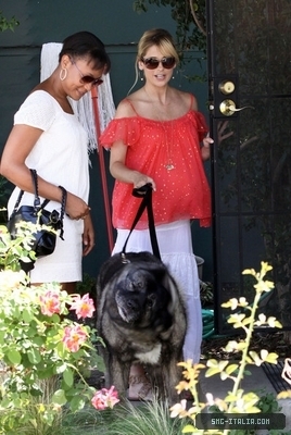  SMG takes Tyson to the veterinarian's office in Toluca Lake, California - July 22, 2009