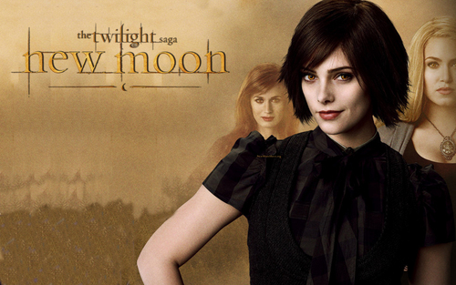  THE CULLENS NEW MOON wolpeyper