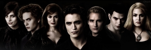  The Cullens Banner
