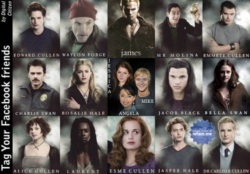 The Twilight Cast